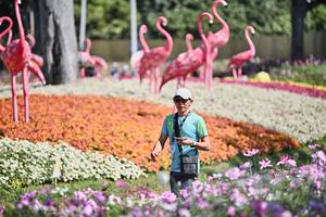 BIB: 
                            <button type="button" onclick="openModal(27793089)" class="btn btn-primary btn-sm float-right btn-popup" data-toggle="modal" data-target=".modal-high-quality">
                        <i class="fas fa-shopping-cart"></i> Add to Cart
                    </button>
                                            <button type="button" onclick="isThisMe(27793089, true)" class="btn btn-success btn-sm float-right btn-popup btn-isme hidden" data-toggle="tooltip" data-placement="bottom" title="นี่คือรูปของคุณใช่ไหม คลิกที่นี่เพื่อเอาเข้าอัลบั้ม">
                        <i class="fas fa-plus"></i> Add to album
                    </button>
                    <button type="button" onclick="isThisMe(27793089, false)" class="btn btn-warning btn-sm float-right btn-popup btn-isnotme hidden">
                        <i class="fas fa-ban"></i> Remove from album
                    </button>